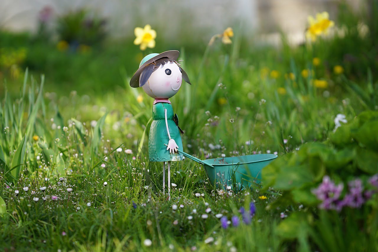 gardening, work, plant